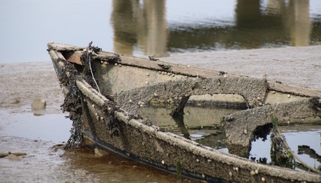 Wreck closeup