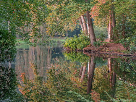 Weerspiegeling van de herfst