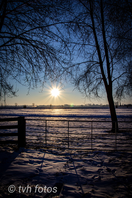 Zonsopkomst in de polder