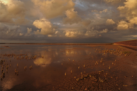 De Waddenzee...wereld erfgoed Unesco.