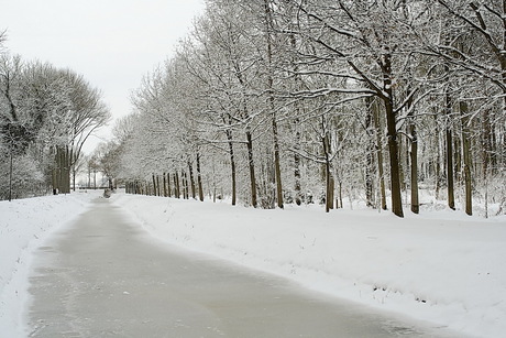 sneeuw landschap