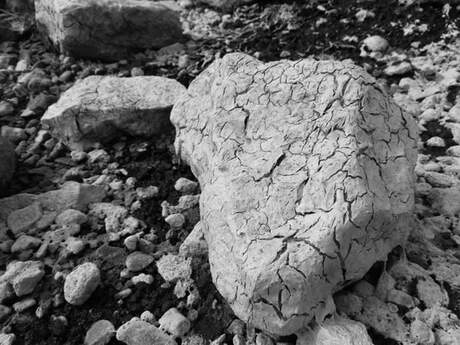 FB_IMG_1580406466522