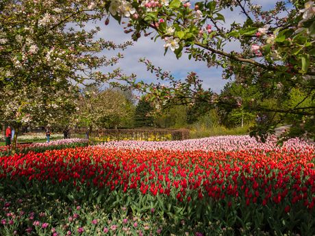 doorkijkje