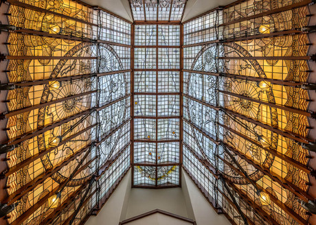 In het licht van de wereld