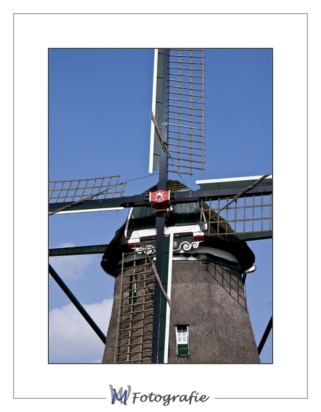 Molen te Gemert