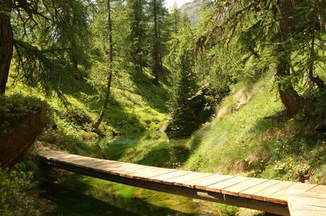 Bruggetje bij Lac Bleu Zwitserland