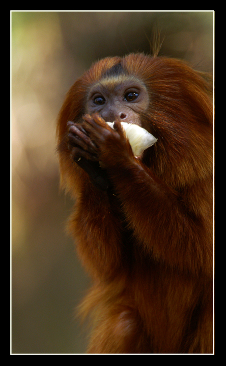 Eet smakelijk!