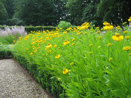 Bloemenpracht