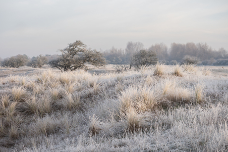 Uitzicht op de winter?