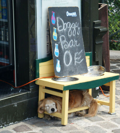 Doggy Bar in Parijs