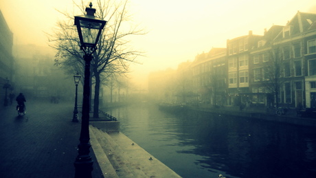 Leiden mist