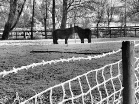 PICT0028.verkleind. Kleumend stel