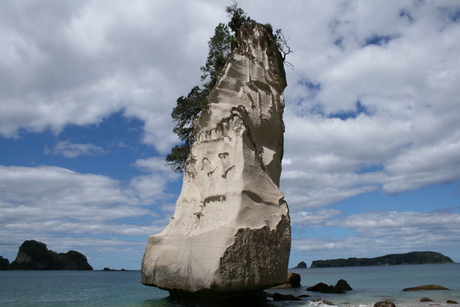 New Zealand Hoho Rock