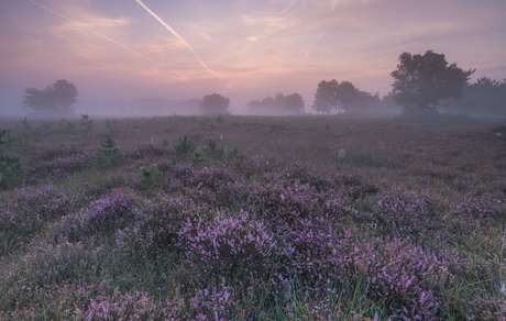 'a fairy sunrise'