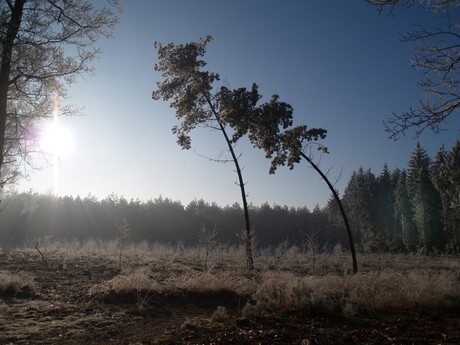 Leusden, dec. 2007