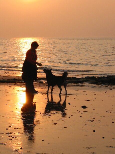 Zeeland Juni 2006