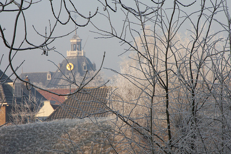 Kerk door de bomen