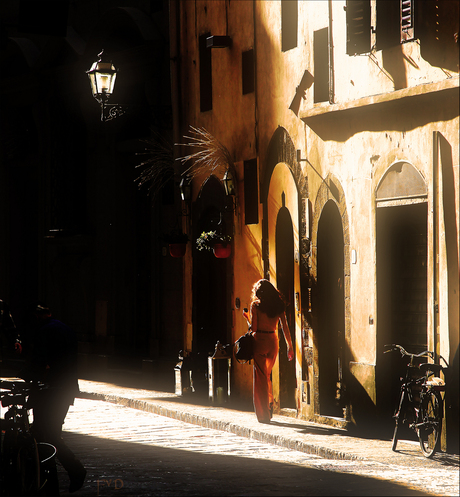 Backlight in Firenze_IMG_8488.jpg