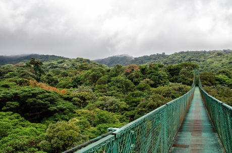 Walking over the Hanging Bridges