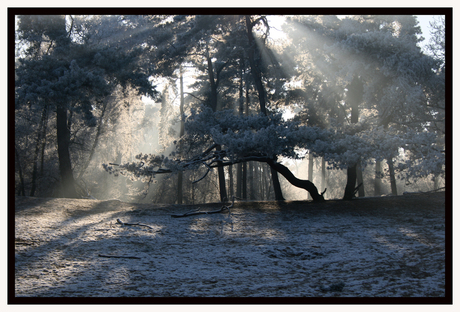 Winterstralen!