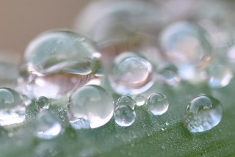 Dauw druppels als glazen bollen op een blad 