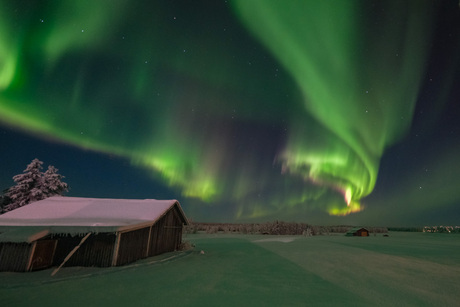 Noorderlicht in Zweeds Lapland