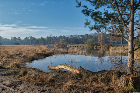 Kampina, Boxtel