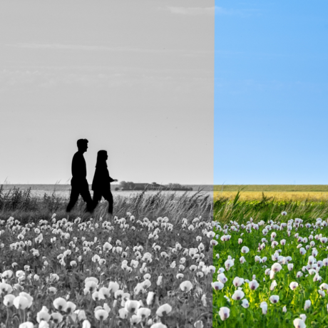 Always look on the bright side of life