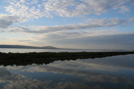 Camargue