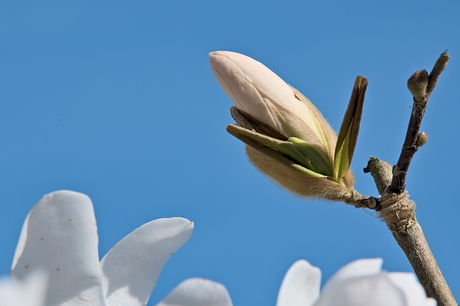 Break On Through (To The Other Side)