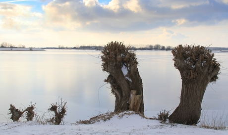 Winter in de Betuwe
