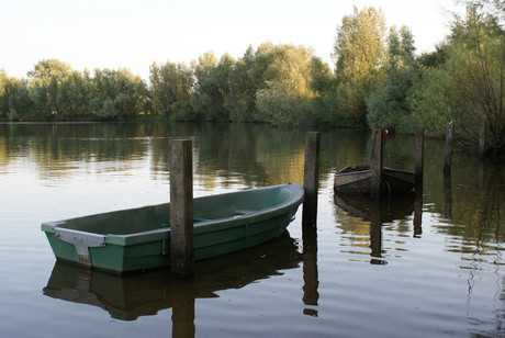 Roeibootjes langs de Maas