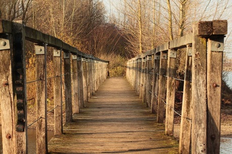 Een brug in het Ooij