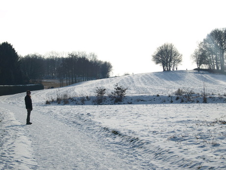 winterlandschap Limburg