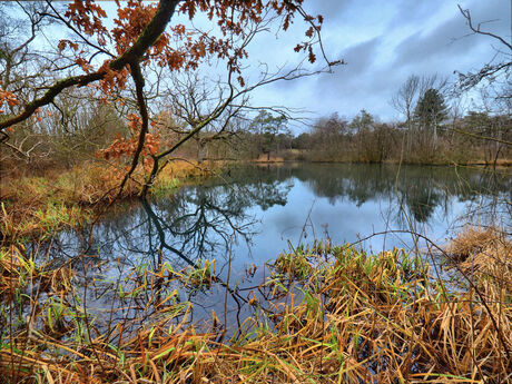 Herfstsfeer in de winter