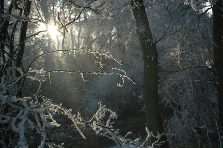 De zon breekt door