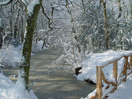 winters bos
