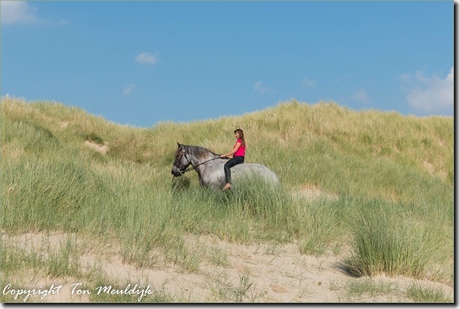 Aan het strand in Westerschouwen-7077