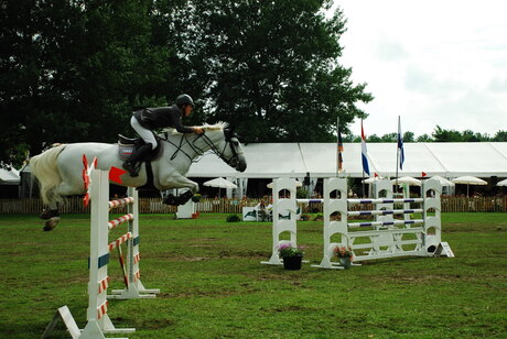 Concours Hoofddorp