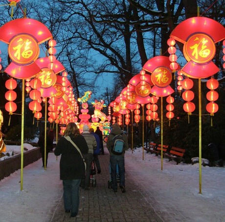 China Lights nr.24 in Emmen
