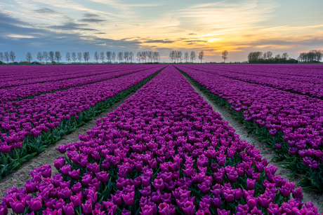 Zonsondergang op Goeree-Overflakkee