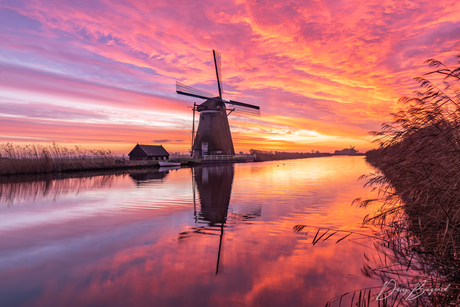 Knallende zonsopkomst in de polder