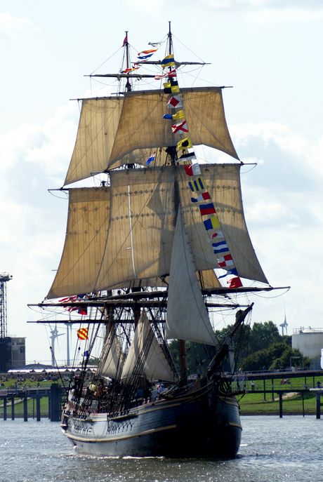 Delfsail 2009