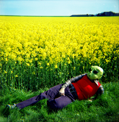 Alien roadtrip Koolzaad veld