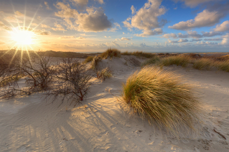 Wuthering Dunes