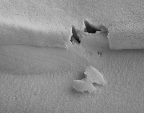 Puzzelstukje.................