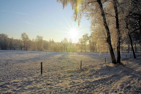 winter 2008-2009 (30)