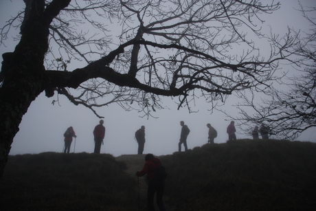 Mist in Toscane