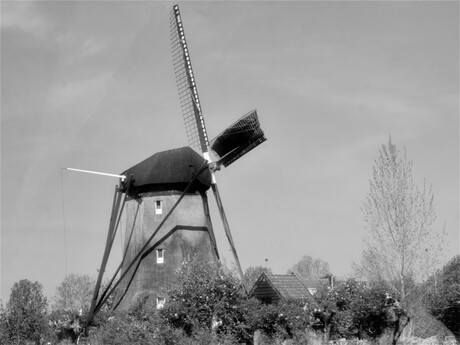 Hollandse Molen, de trots van Nederland