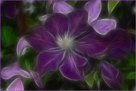 Bewerkte clematis